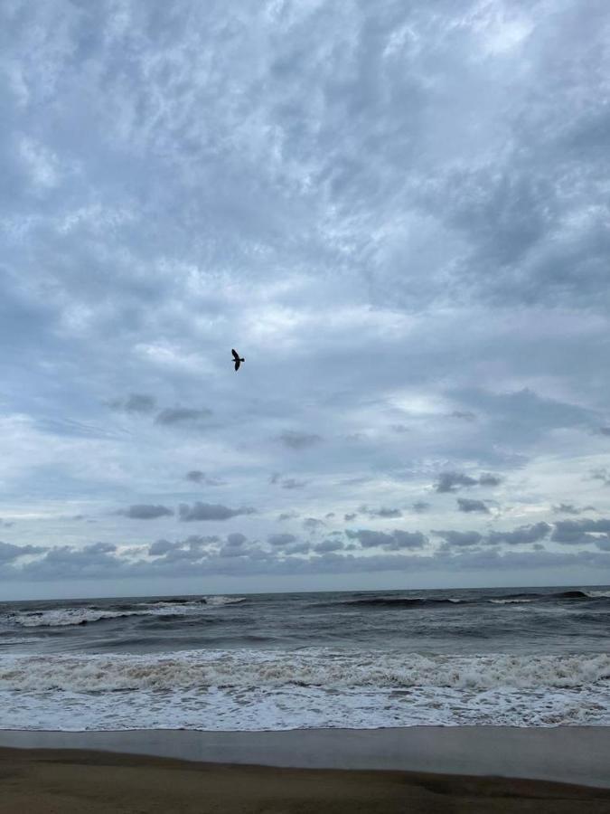 201 St Tropez, South Coast Margate
